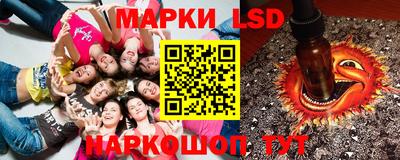 МДПВ Гатчина