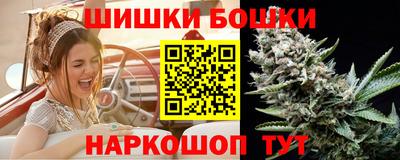 МДПВ Гатчина