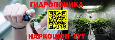 скорость Гай