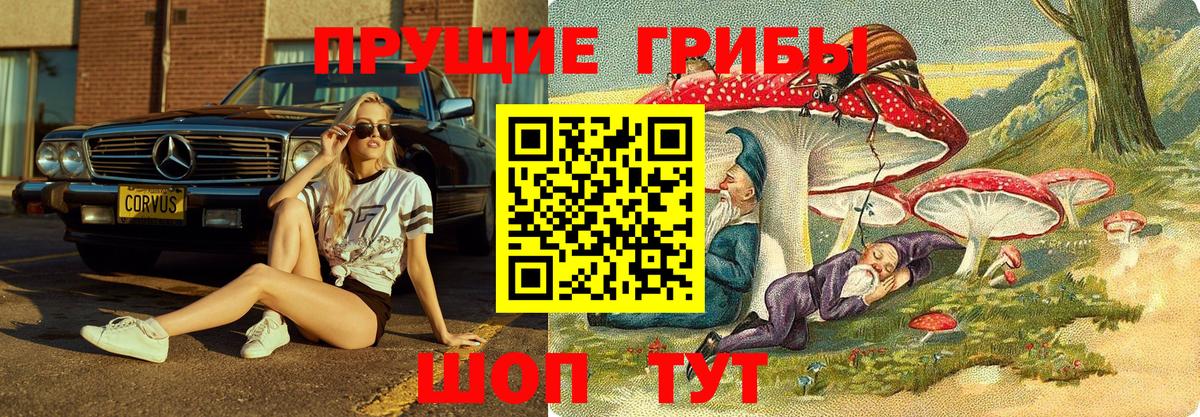 Мурманск  Галлюциногенные грибы Cubensis  Вход с VPN 