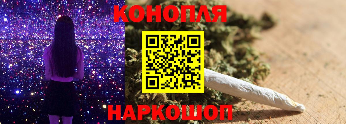 Мурманск  Бошки марихуана план  Марихуана LSD WEED  Бошки марихуана сатива  Вход с VPN 